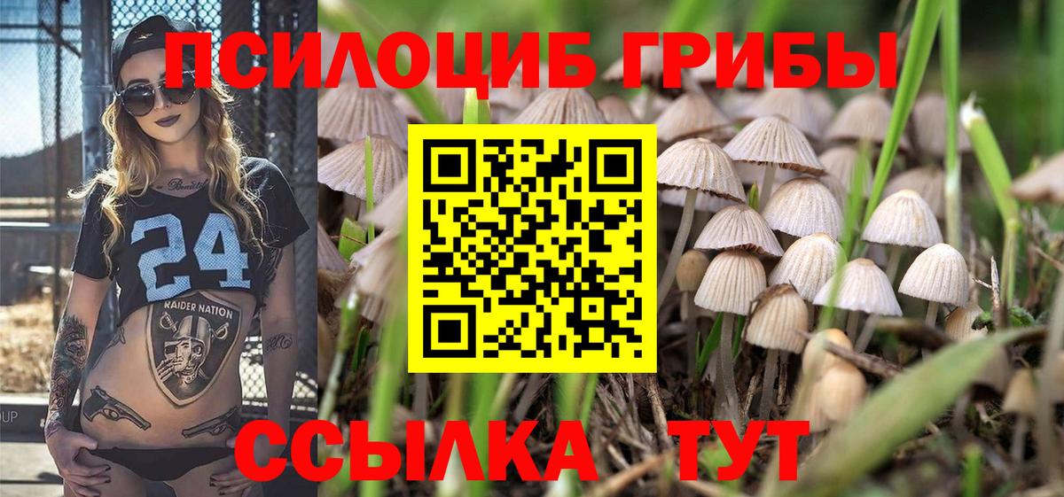 Псилоцибиновые грибы мицелий Сочи