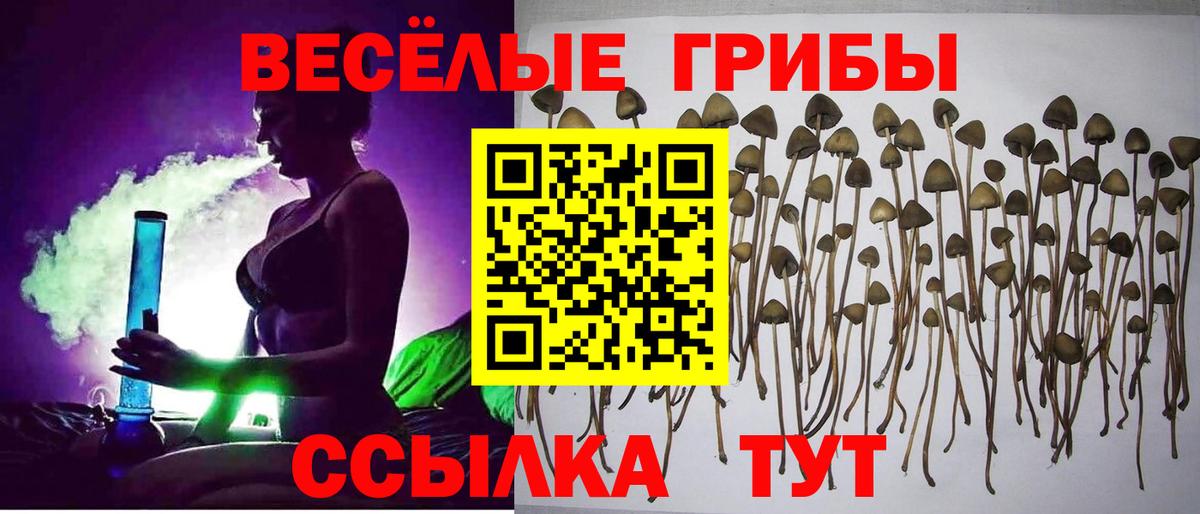 Сочи  Галлюциногенные грибы Cubensis  Вход с VPN 